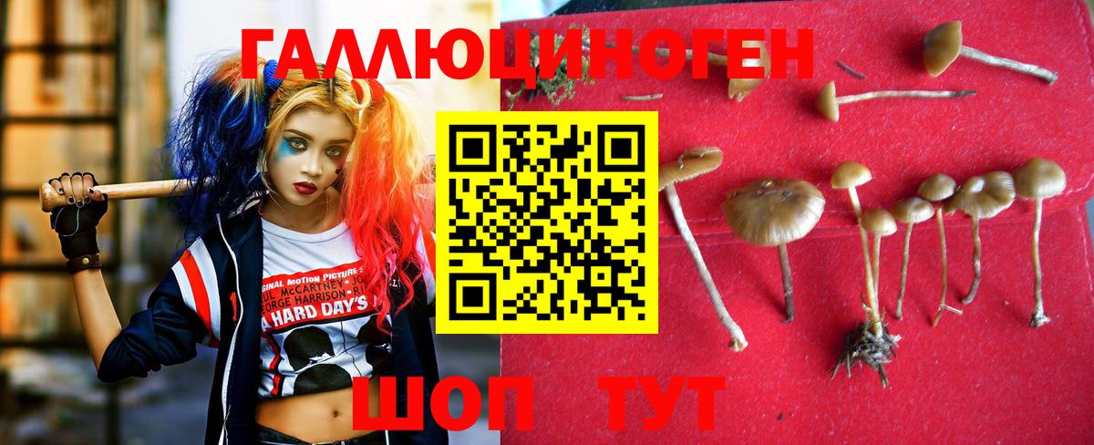 Псилоцибиновые грибы Magic Shrooms  Вход с VPN  Орехово-Зуево 