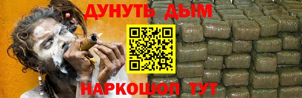Конопля план Орехово-Зуево